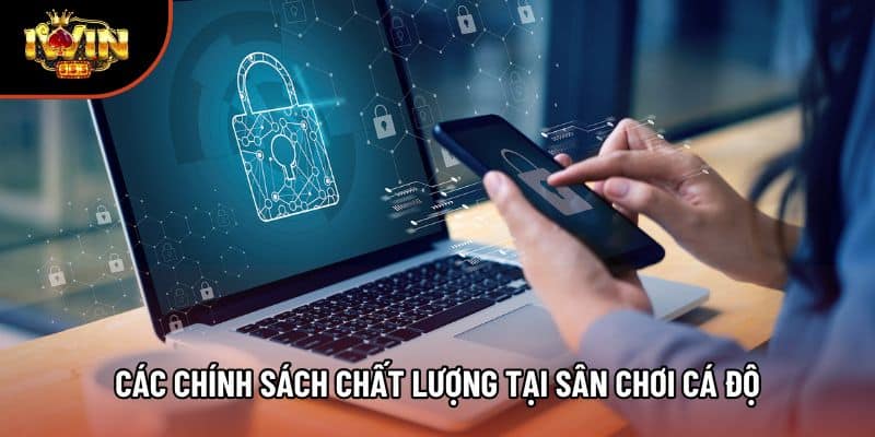 Các chính sách chất lượng tại sân chơi cá độ