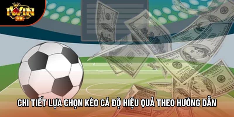 Chi tiết lựa chọn kèo cá độ hiệu quả theo hướng dẫn