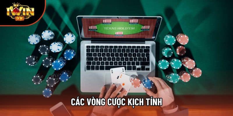 Các vòng cược kịch tính