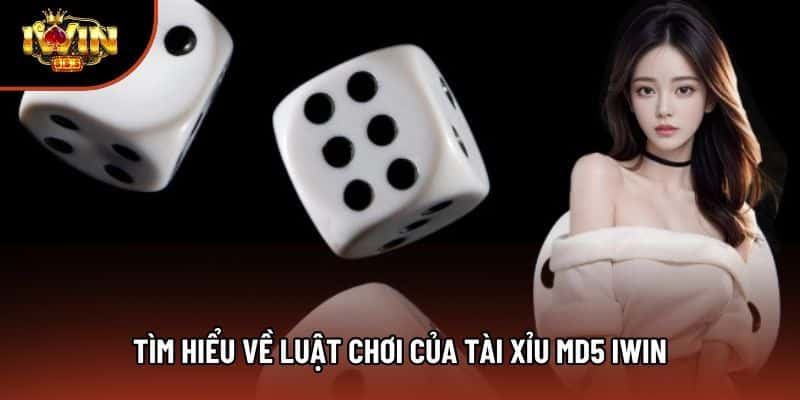 Tìm hiểu về luật chơi của tài xỉu md5 Iwin