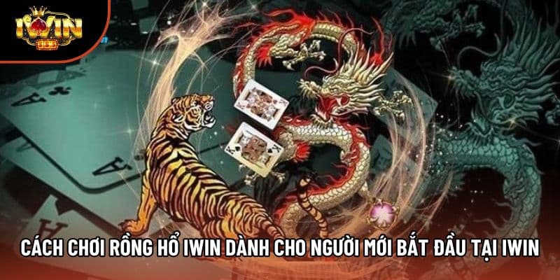Cách Chơi Rồng Hổ Iwin Dành Cho Người Mới Bắt Đầu Tại Iwin