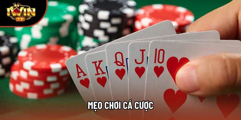 Tổng Hợp Những Mẹo Chơi Cá Cược Đỉnh Cao Nhất Tại Iwin