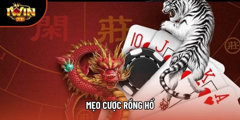 Hướng Dẫn Chiến Thuật Và Mẹo Cược Rồng Hổ Cho Newbie