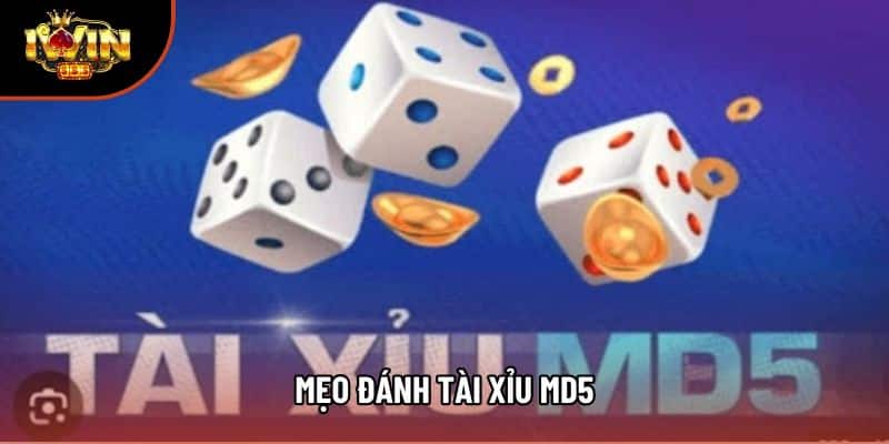 Mẹo Đánh Tài Xỉu Md5: Cách Phân Tích Chuỗi Kết Quả