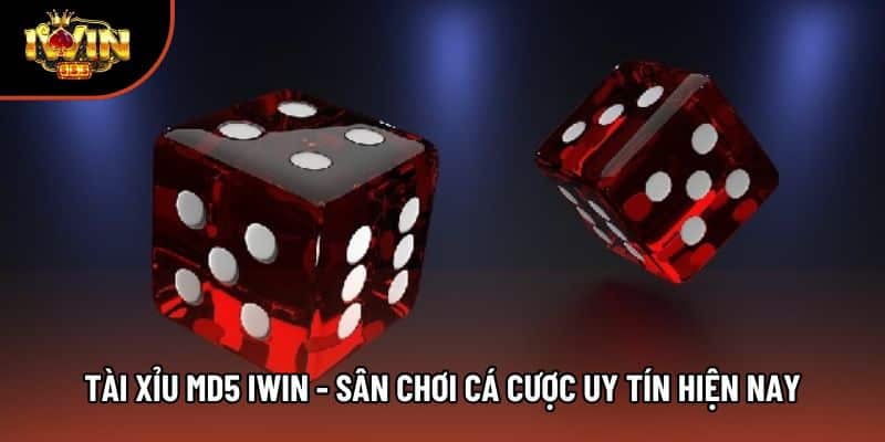 Tài Xỉu Md5 Iwin - Sân Chơi Cá Cược Uy Tín Hiện Nay