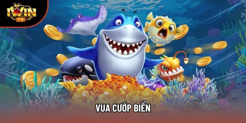 Vua Cướp Biển: Tổng Quan Cơ Chế Và Cách Vận Hành